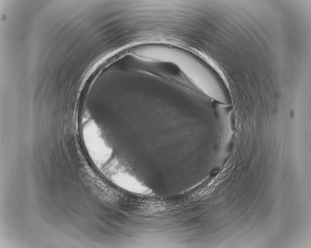 X0000085820935200704091628