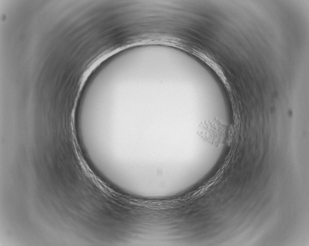 X0000085820936200704091628