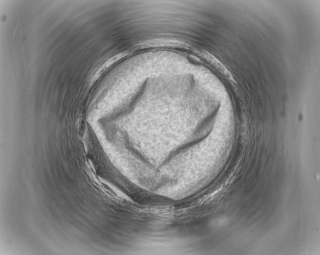 X0000085820937200704091628