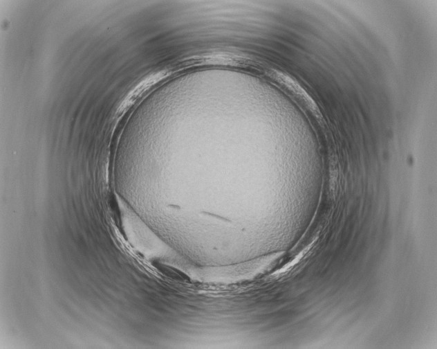 X0000085820938200704091628