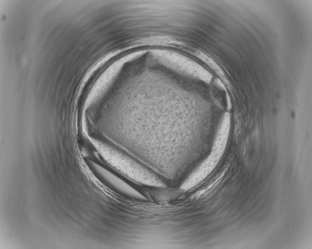 X0000085820939200704091628