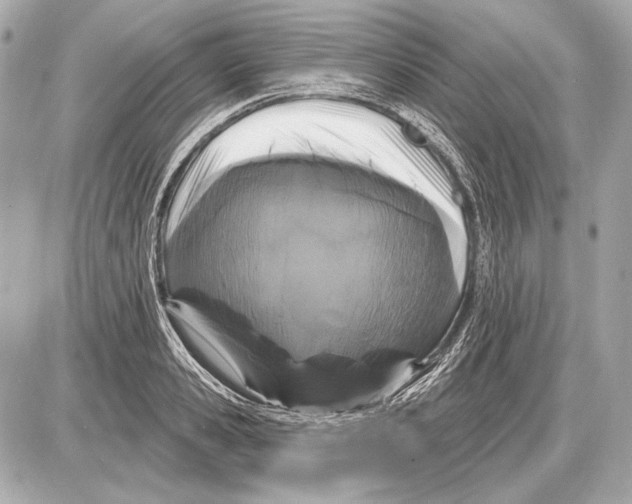 X0000085820941200704091628