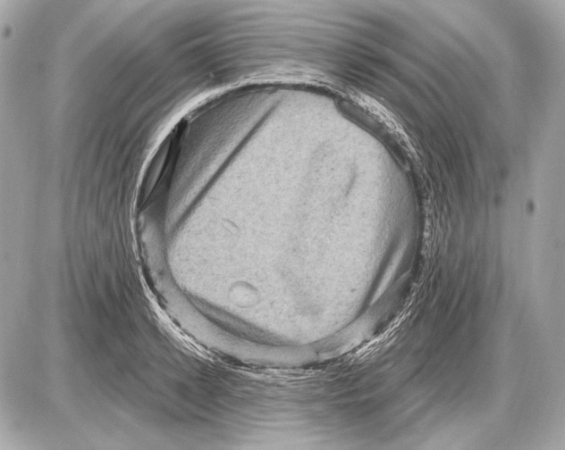 X0000085820942200704091628