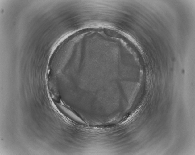 X0000085820943200704091628