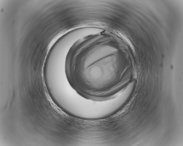 X0000085820944200704091629