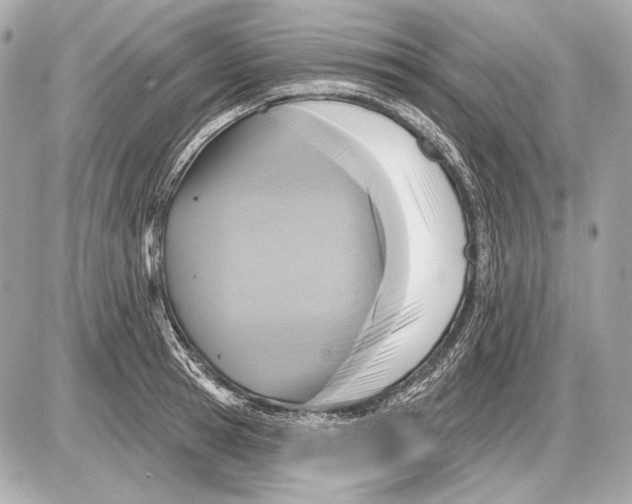 X0000085820945200704091629