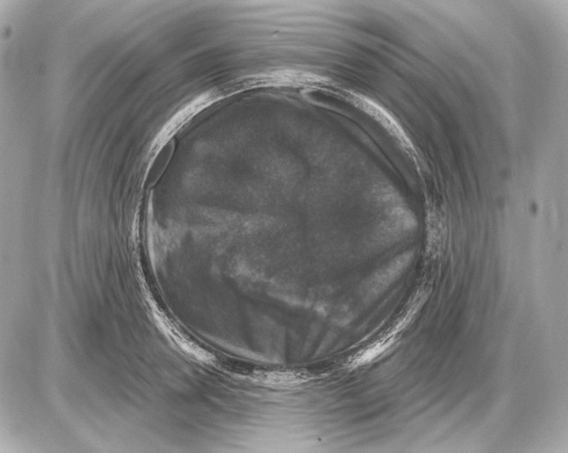 X0000085820946200704091629