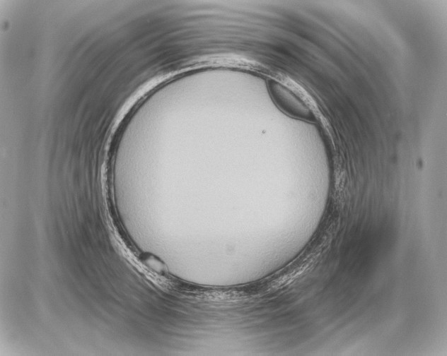 X0000085820947200704091629