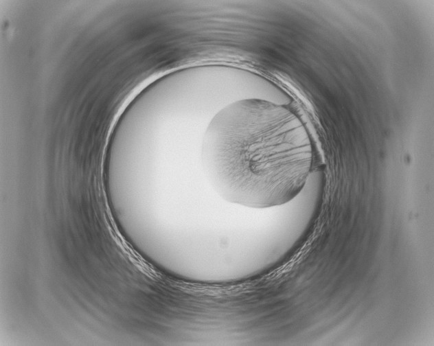 X0000085820948200704091629