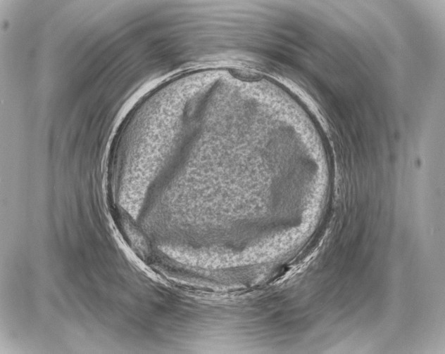 X0000085820949200704091629