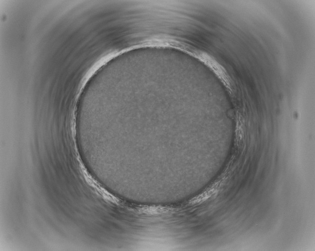 X0000085820950200704091629