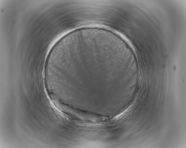 X0000085820951200704091629