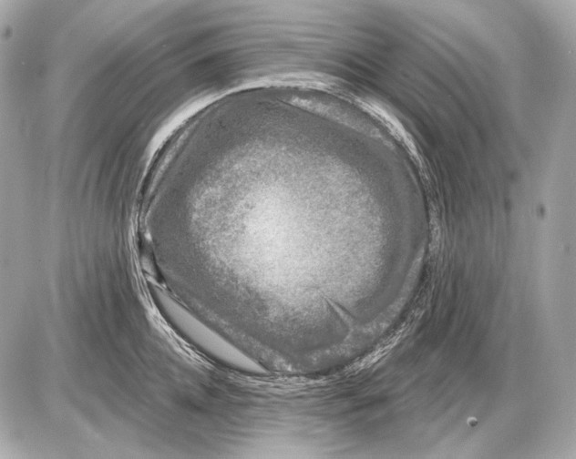 X0000085820952200704091629