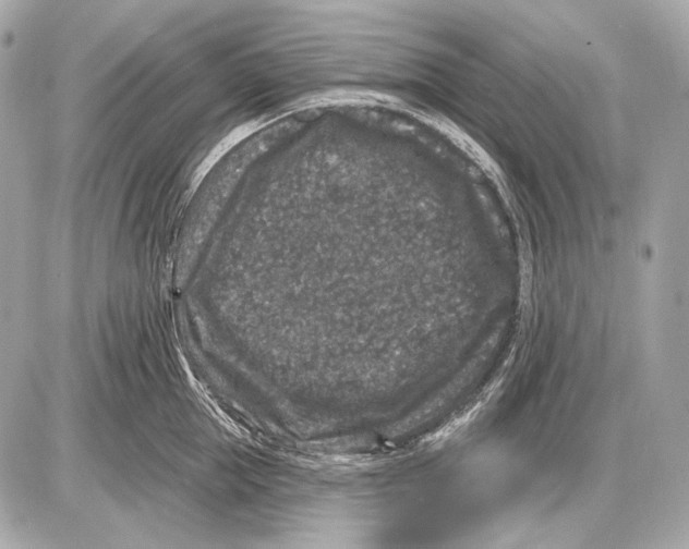 X0000085820953200704091629