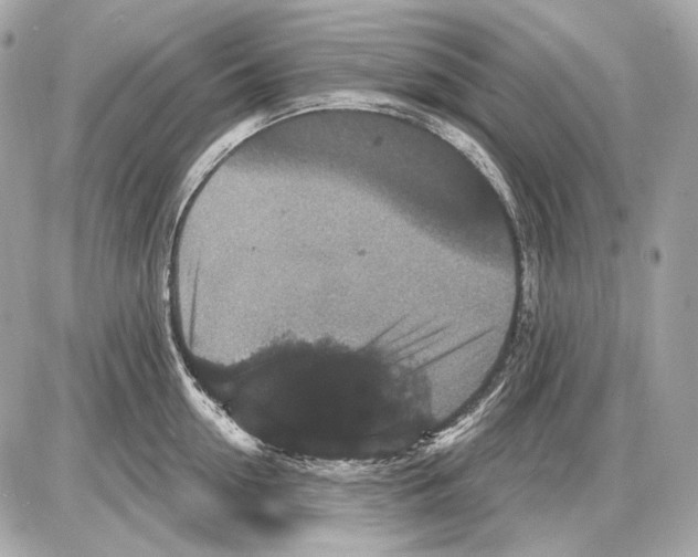 X0000085820954200704091629