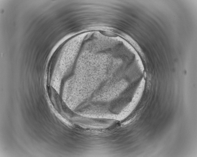 X0000085820955200704091629