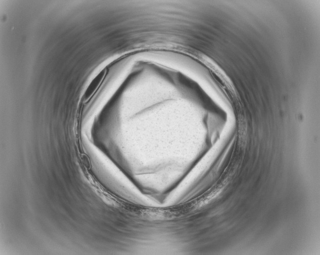 X0000085820956200704091629