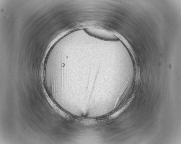 X0000085820957200704091629