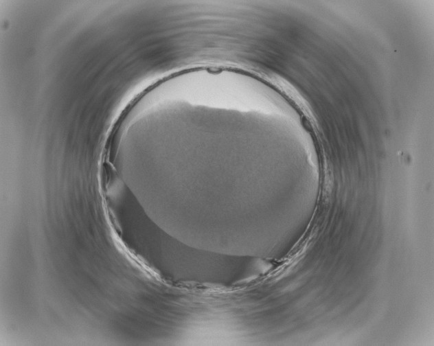 X0000085820958200704091629