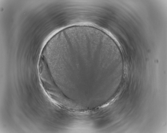 X0000085820959200704091629