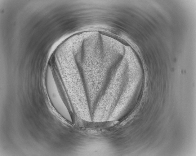 X0000085820960200704091629