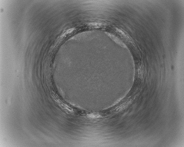 X0000085820961200704091628