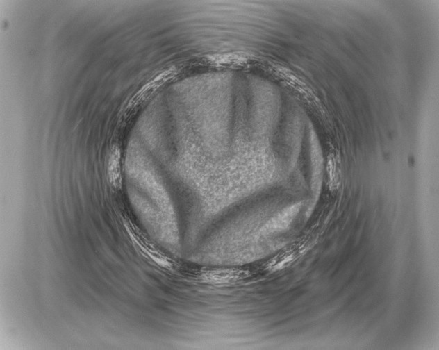 X0000085820963200704091628