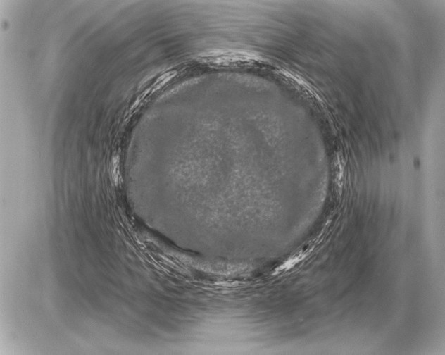 X0000085820965200704091628