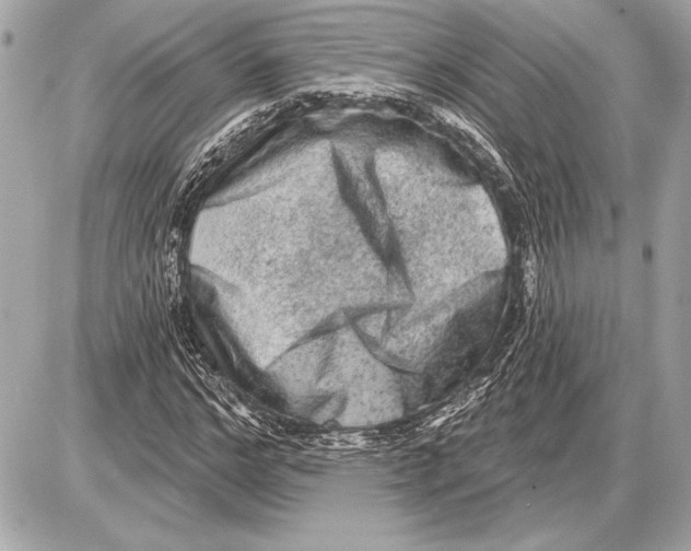 X0000085820968200704091628