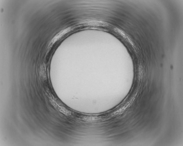 X0000085820970200704091628