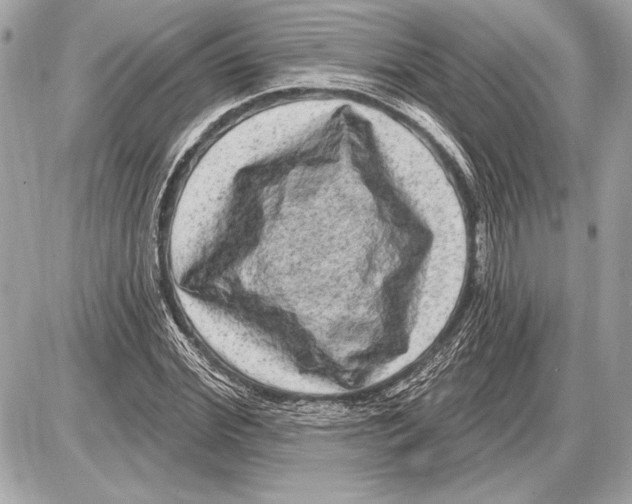 X0000085820972200704091628