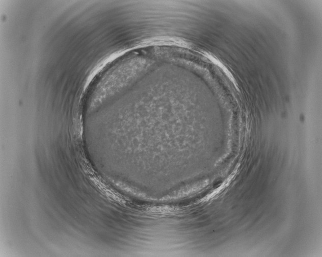 X0000085820973200704091628