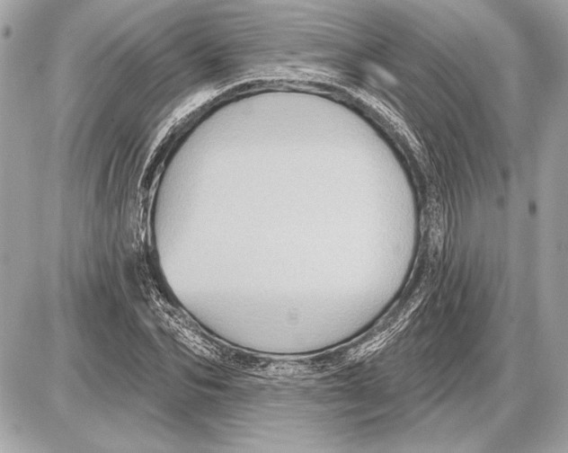 X0000085820974200704091628