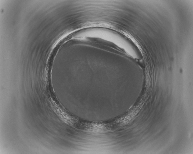 X0000085820975200704091628