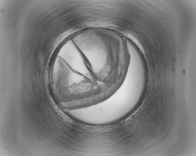 X0000085820976200704091628