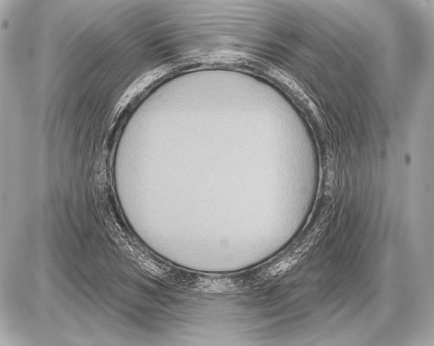 X0000085820978200704091628