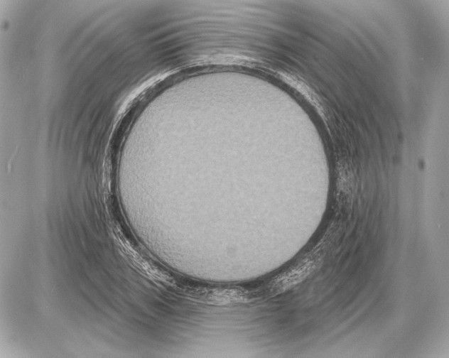 X0000085820979200704091628