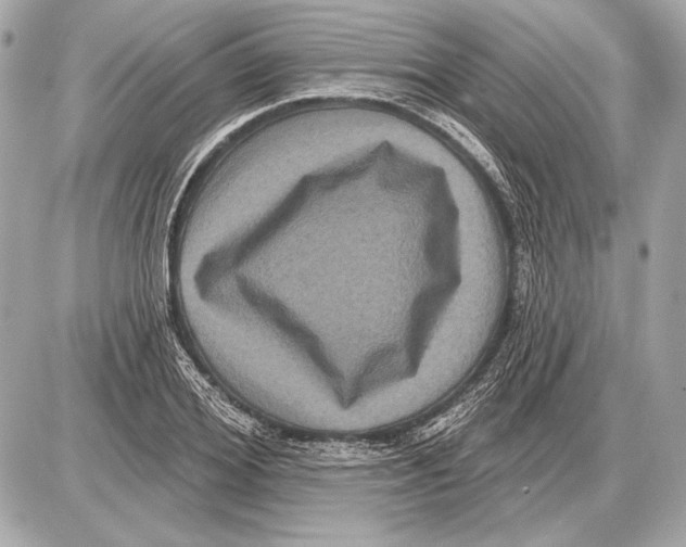 X0000085820980200704091628