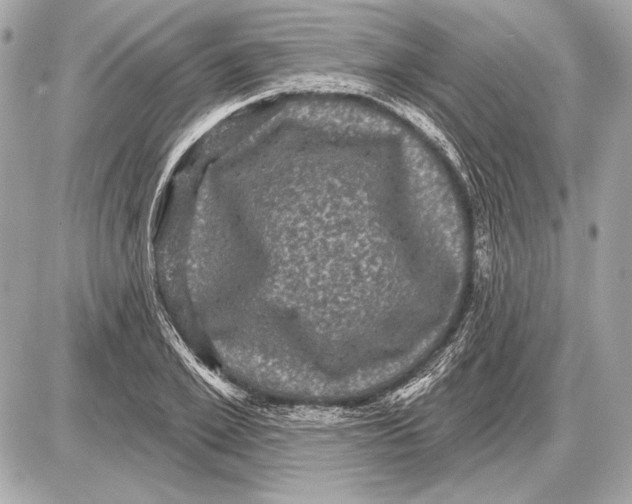 X0000085820981200704091628