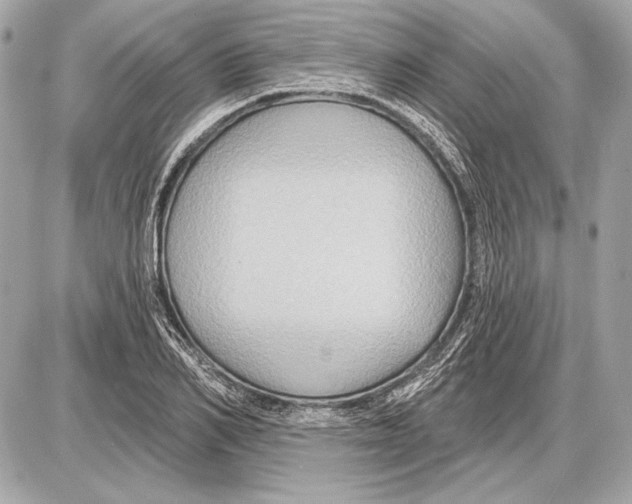 X0000085820982200704091628