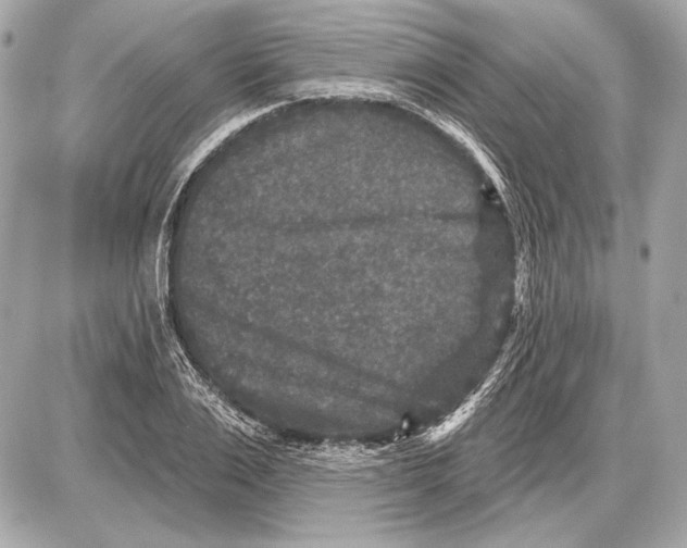 X0000085820983200704091628