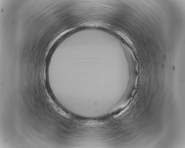 X0000085820984200704091628