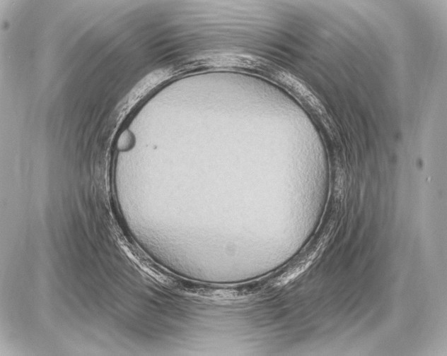 X0000085820986200704091628