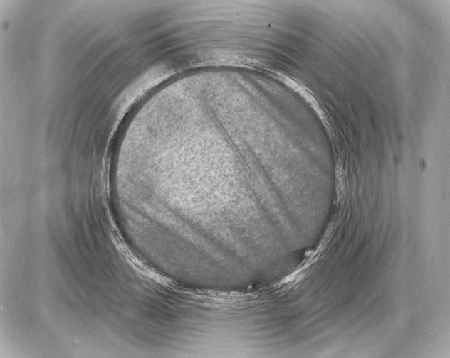 X0000085820987200704091628