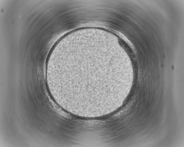 X0000085820988200704091628