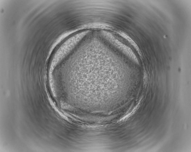 X0000085820989200704091628