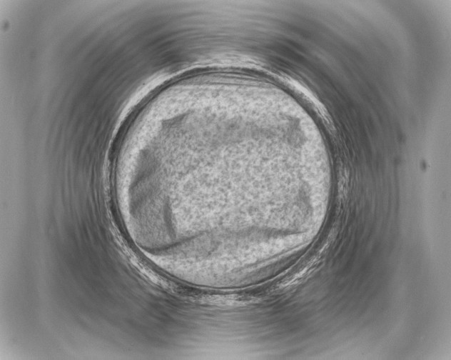 X0000085820990200704091627