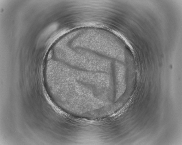 X0000085820991200704091627