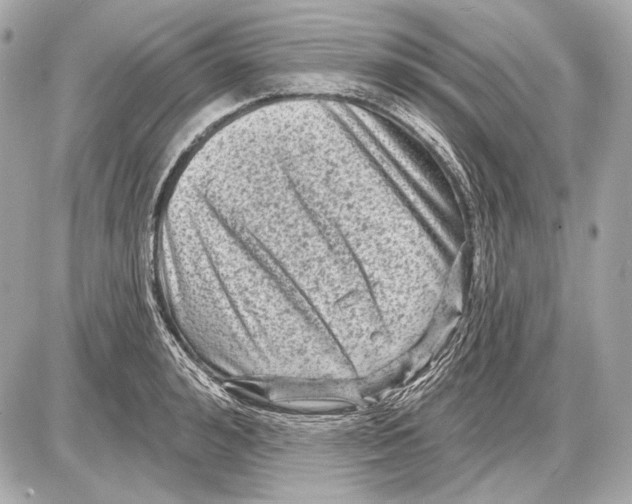 X0000085820992200704091627