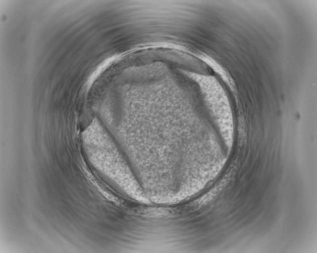 X0000085820993200704091627